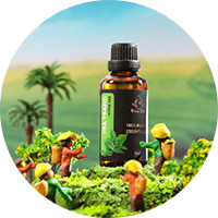 tinh-dau-thien-nhien-haeva-banner