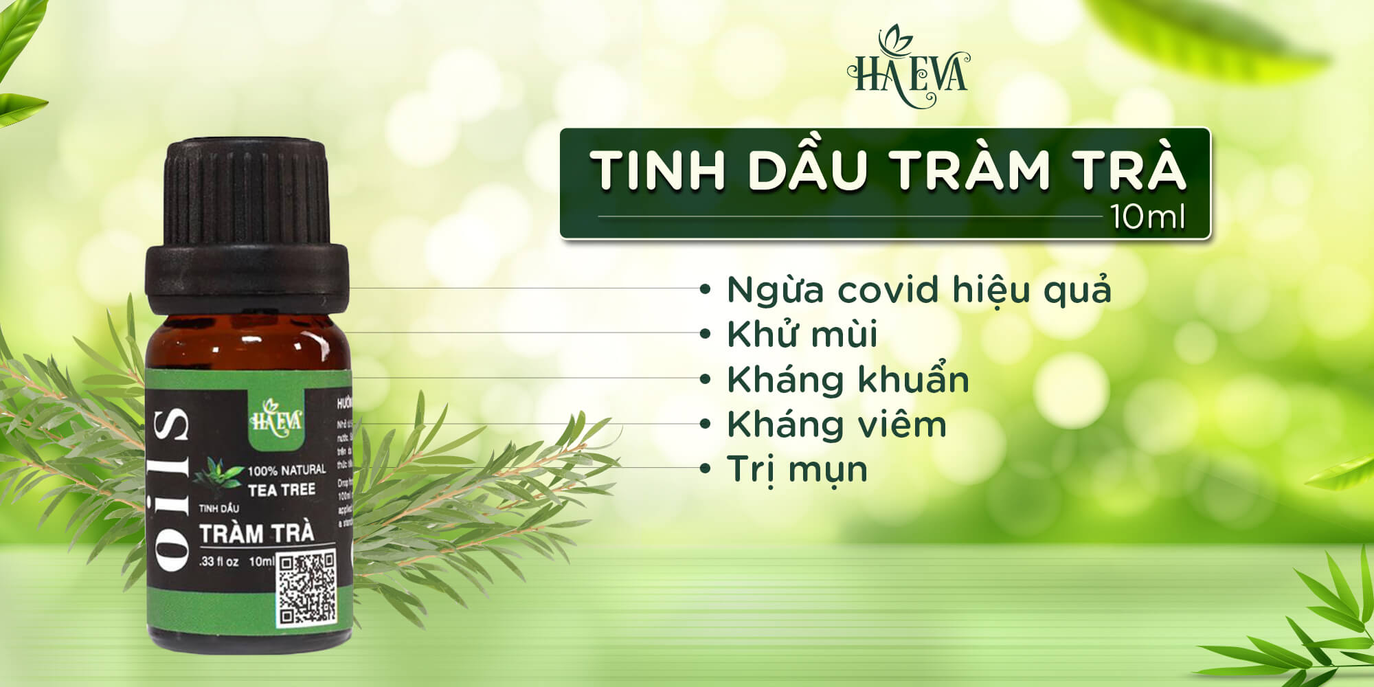 Vì sao sở y tế lại khuyên dùng tinh dầu Tràm Trà ngừa covid-19?