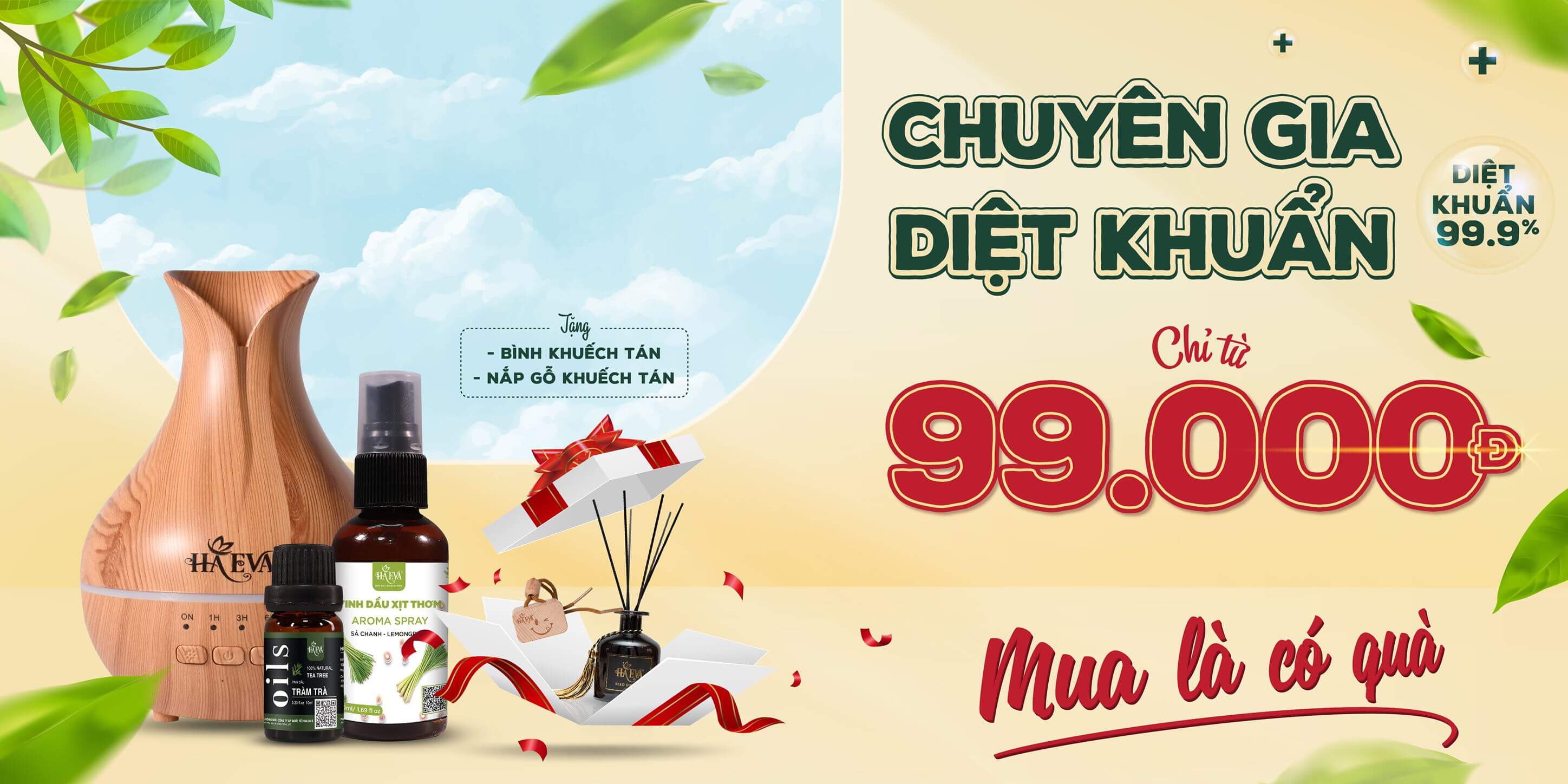 Tips dùng tinh dầu kháng khuẩn hiệu quả mùa dịch