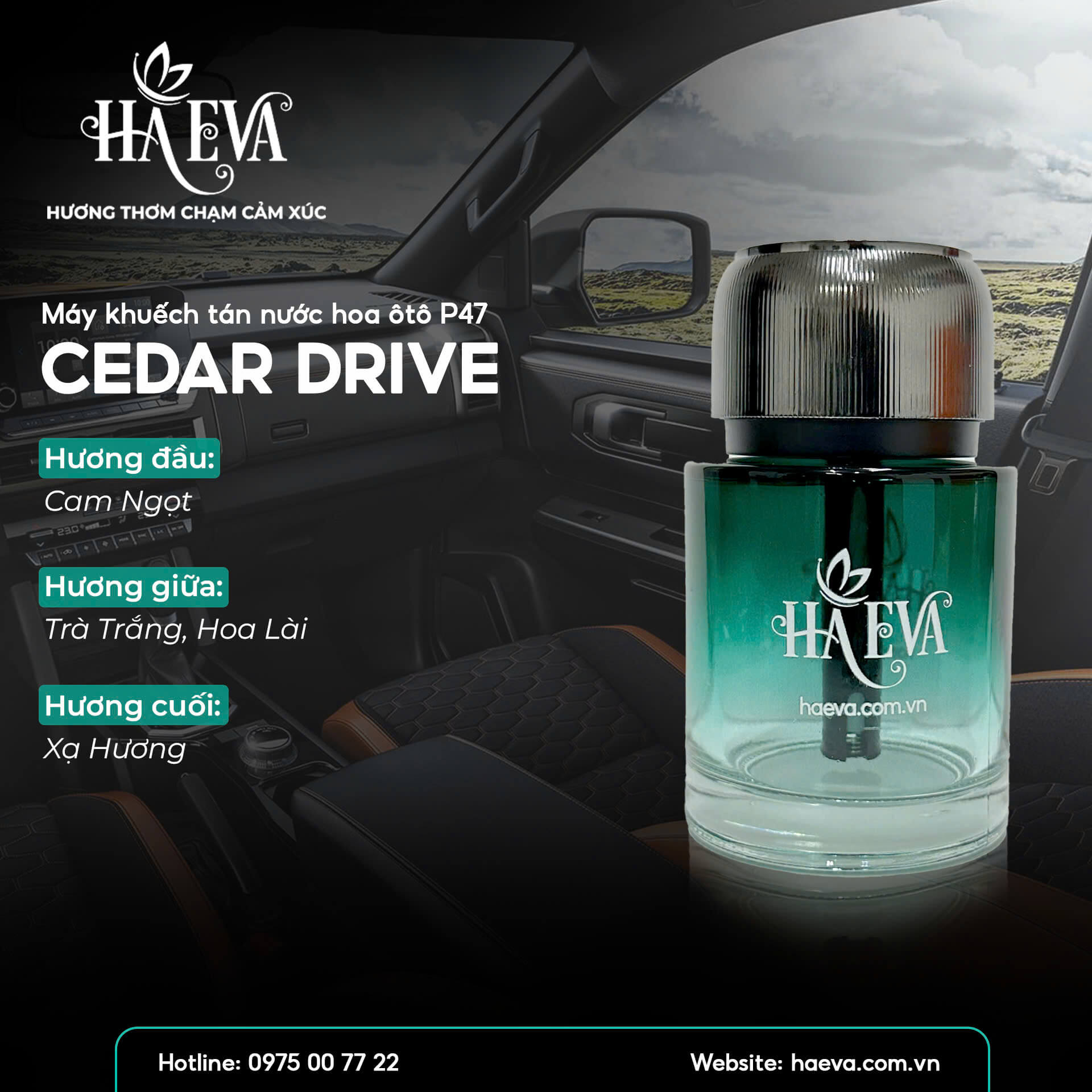 MÁY KHUẾCH TÁN Ô TÔ P47 - CEDAR DRIVE