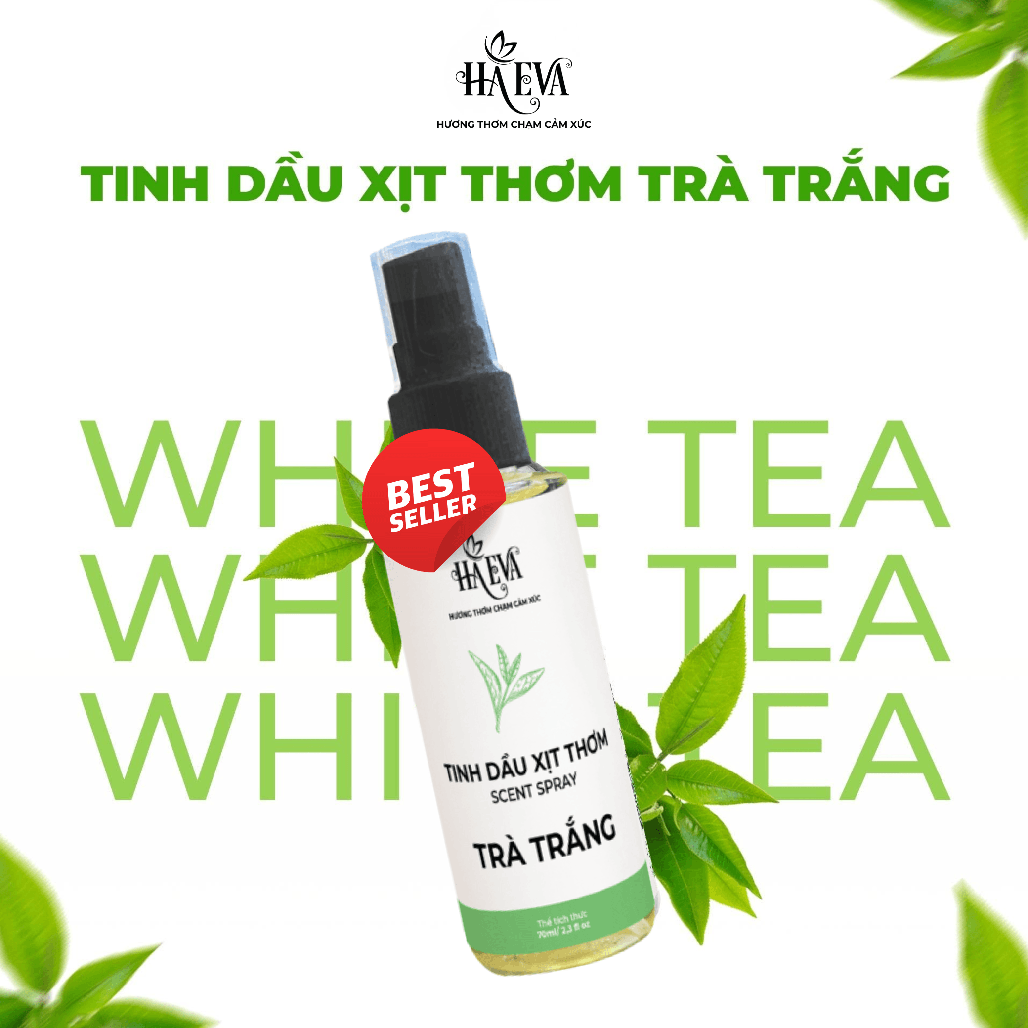 XỊT THƠM HƯƠNG TRÀ TRẮNG